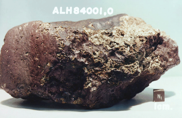 Oblong tan and reddish irregular, textured rock.