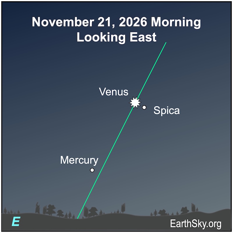 Chart showing a dot, Mercury, above a wavy line, the horizon. Far above it is a starred dot, Venus, next to a small dot, the star Spica.