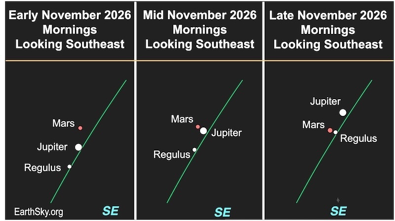 Three charts: In the first depicting early November mornings, a large dot, Jupiter, is below a smaller dot, Mars. Below this is another dot, the star Regulus. In the second chart depicting the middle of November, a large dot, Jupiter is next to a smaller dot, Mars. In the third chart for late November mornings, both smaller dots, Mars and Regulus, are below the large dot, Jupiter.