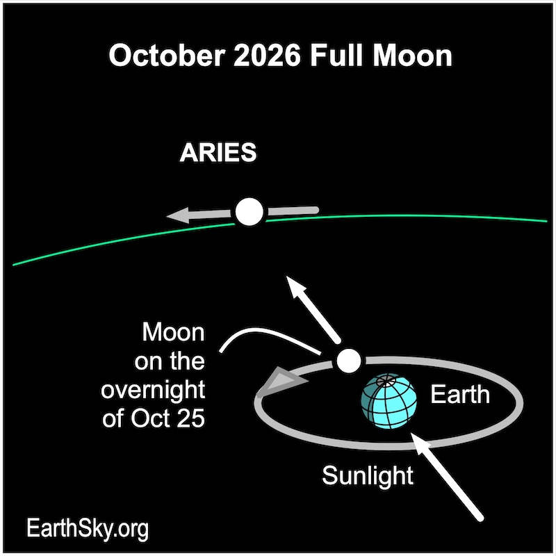 Chart showing an arrow representing the direction of sunlight passing a disk, Earth, and a smaller disk, the moon.