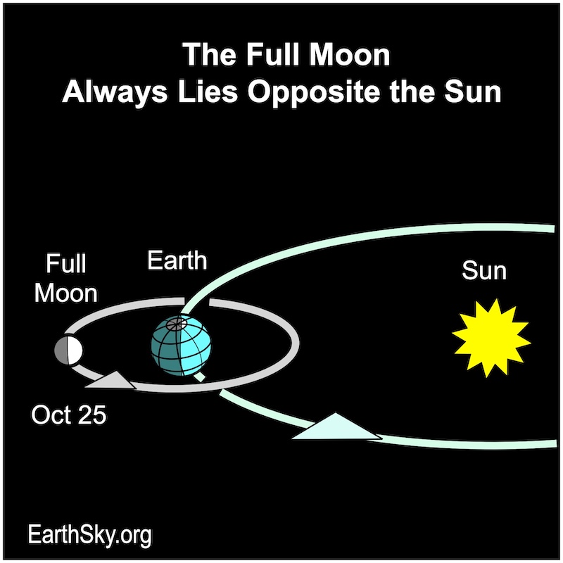 Chart showing, all in a row, a large starred disk, the sun, a disk, Earth, and a small disk, the moon.
