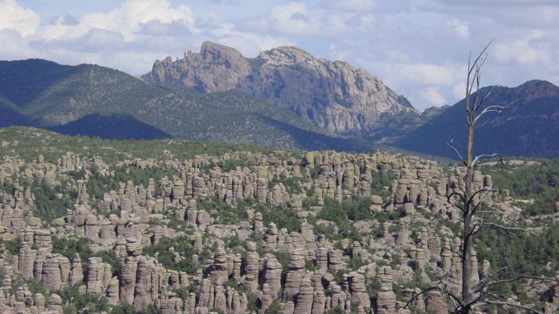 Chiricahua: Landscape of knobby rock spires in front and green and rocky mountains behind. 