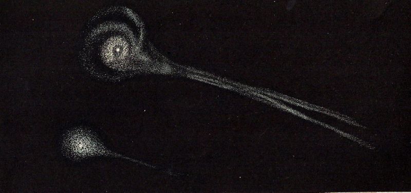 The ghost of Biela’s Comet: 2 light streaks on a dark sky, one with a spiral head and one with an oval head.