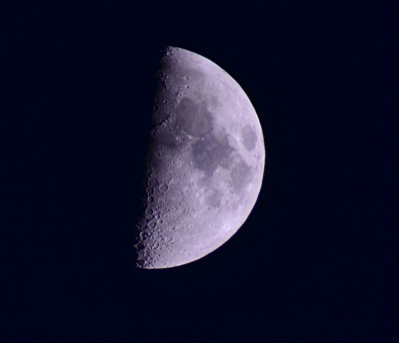 A first quarter moon against a dark night sky.