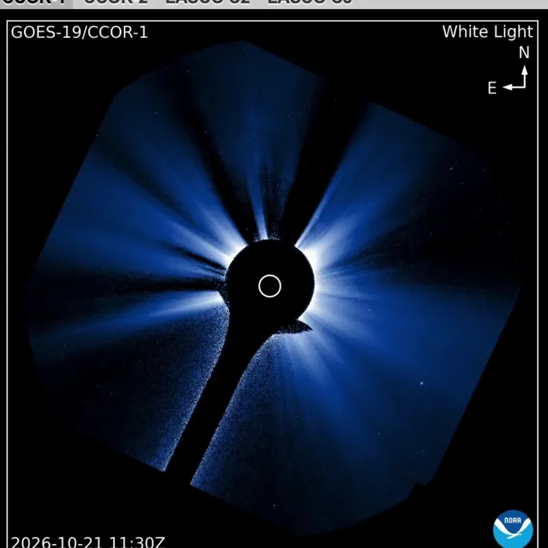 Coronagraph view with the sun hidden behind a dark disk, as blue-white streamers of solar material stream outward.