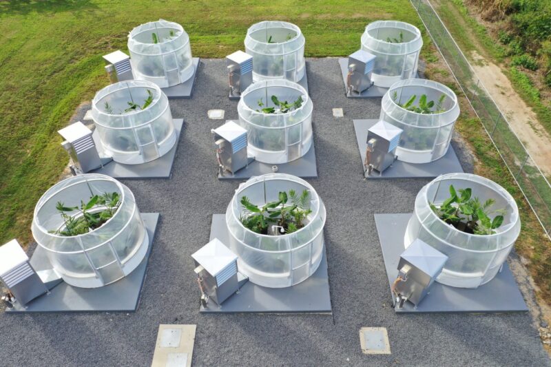 An aerial view of nine cylindrical, open-top growth chambers arranged in a grid on a gravel pad.