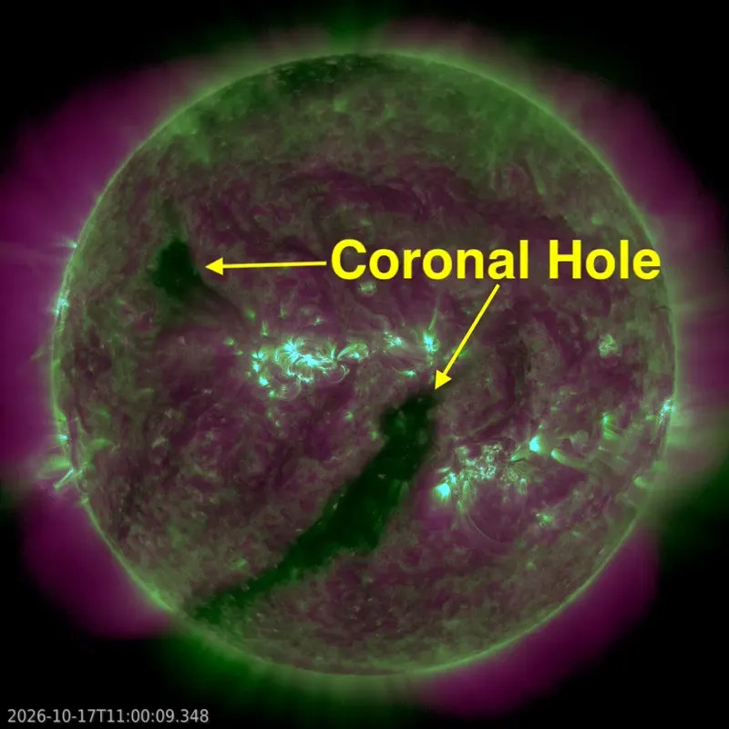 The sun in green and magenta extreme ultraviolet light, with two dark coronal holes, one a long band across the disk.