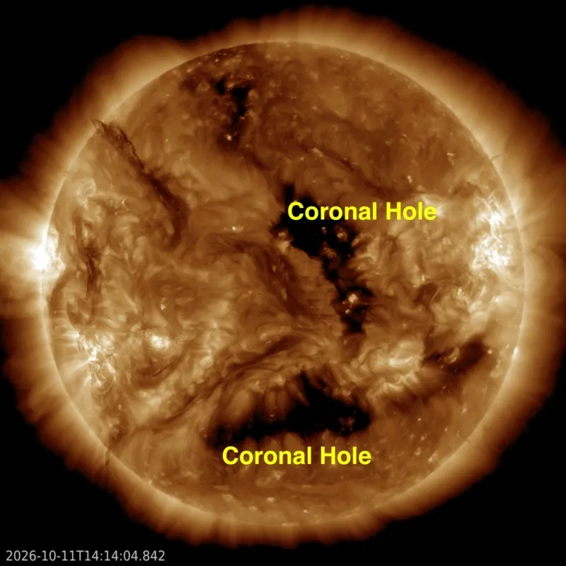 The sun glowing gold in extreme ultraviolet light, with two large dark coronal holes, one central and one southern.