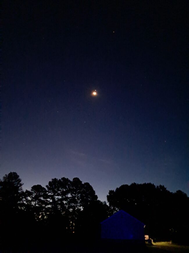 Trees at bottom with a moon above and bright dot on top.
