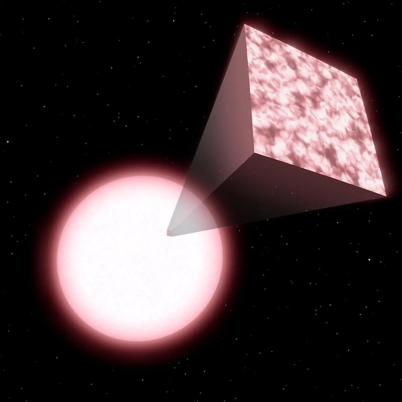 Pinkish sphere with an inset of a mottled surface.