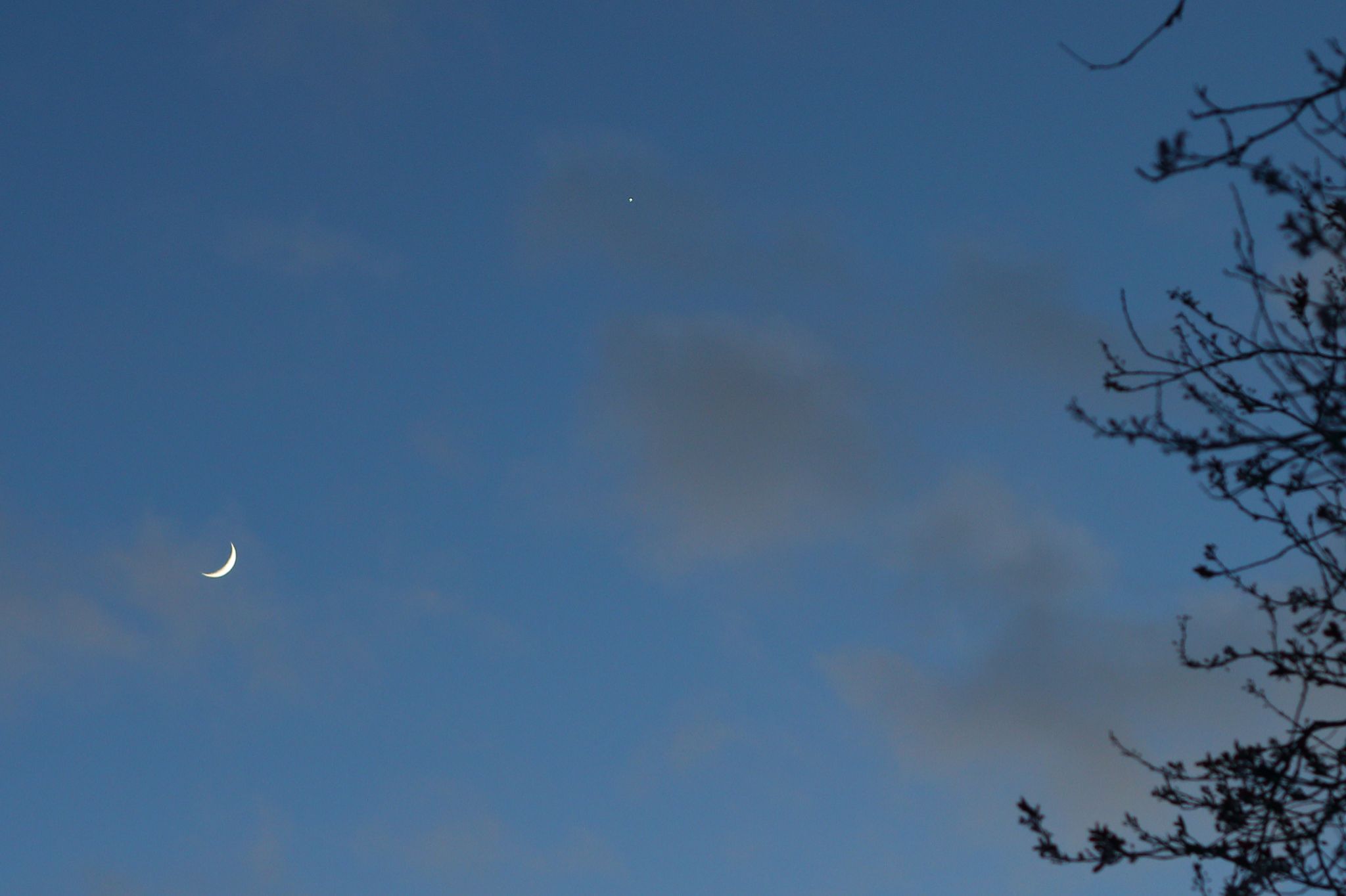 Community photo entitled  by Phil Edwards on 02/27/2020 at Market Drayton, Shropshire, England.