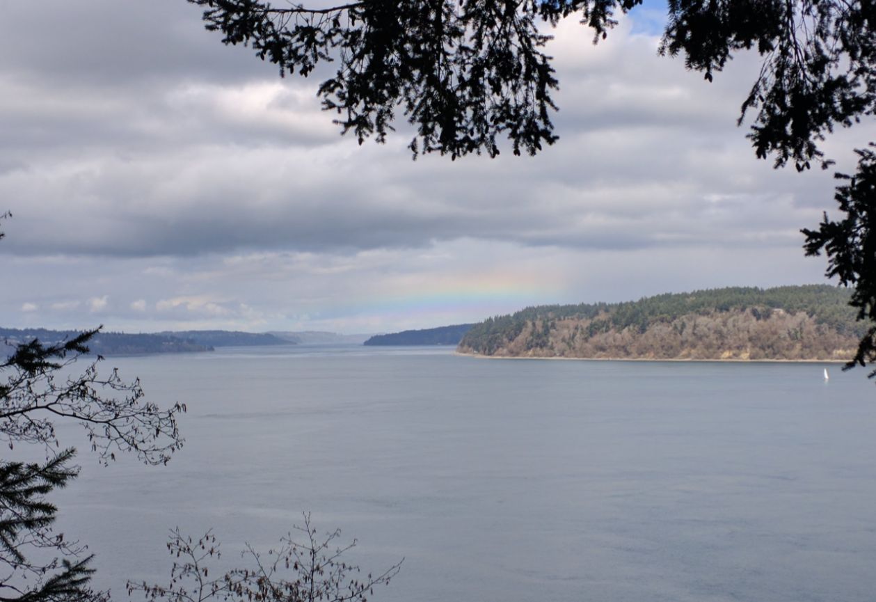 Community photo entitled  by Brian Nelson on 03/11/2020 at Point Defiance Park, Tacoma, WA