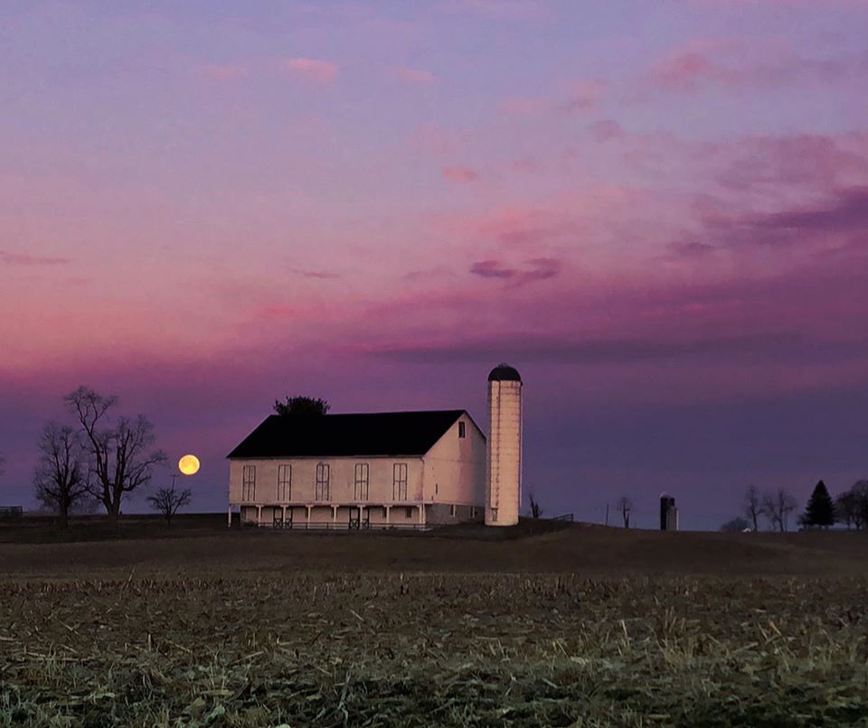 Community photo entitled  by Michelle Lynn Fritz‎ on 03/09/2020 at Boiling Springs, Pennsylvania