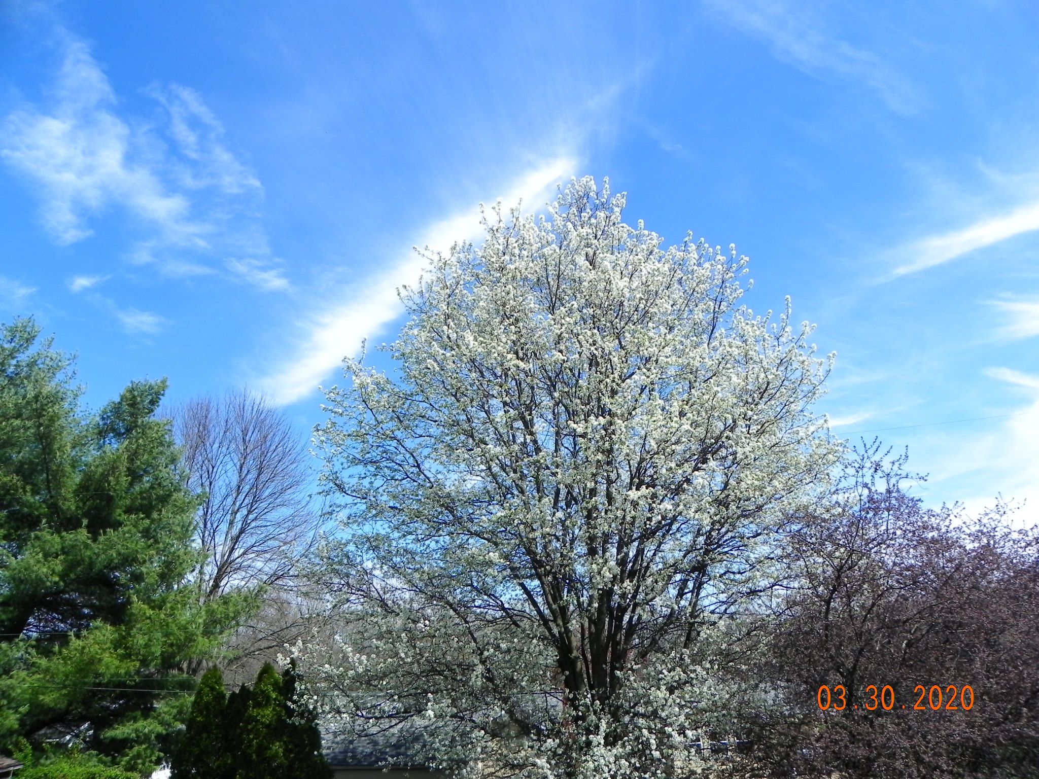 Community photo by Samuel Sievers | Vincennes,In.