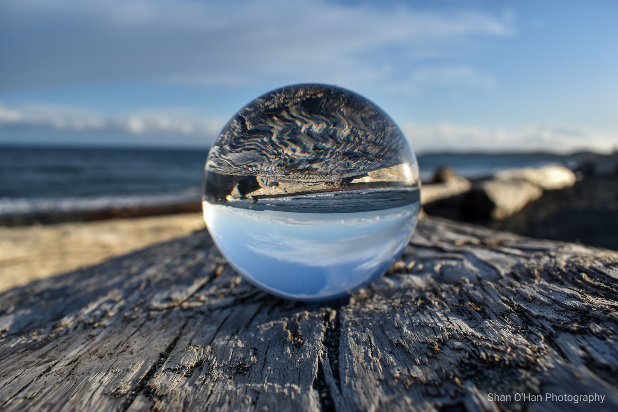 Community photo by Shannon O'Hanley | Esquimalt Lagoon, Victoria, BC, Canada