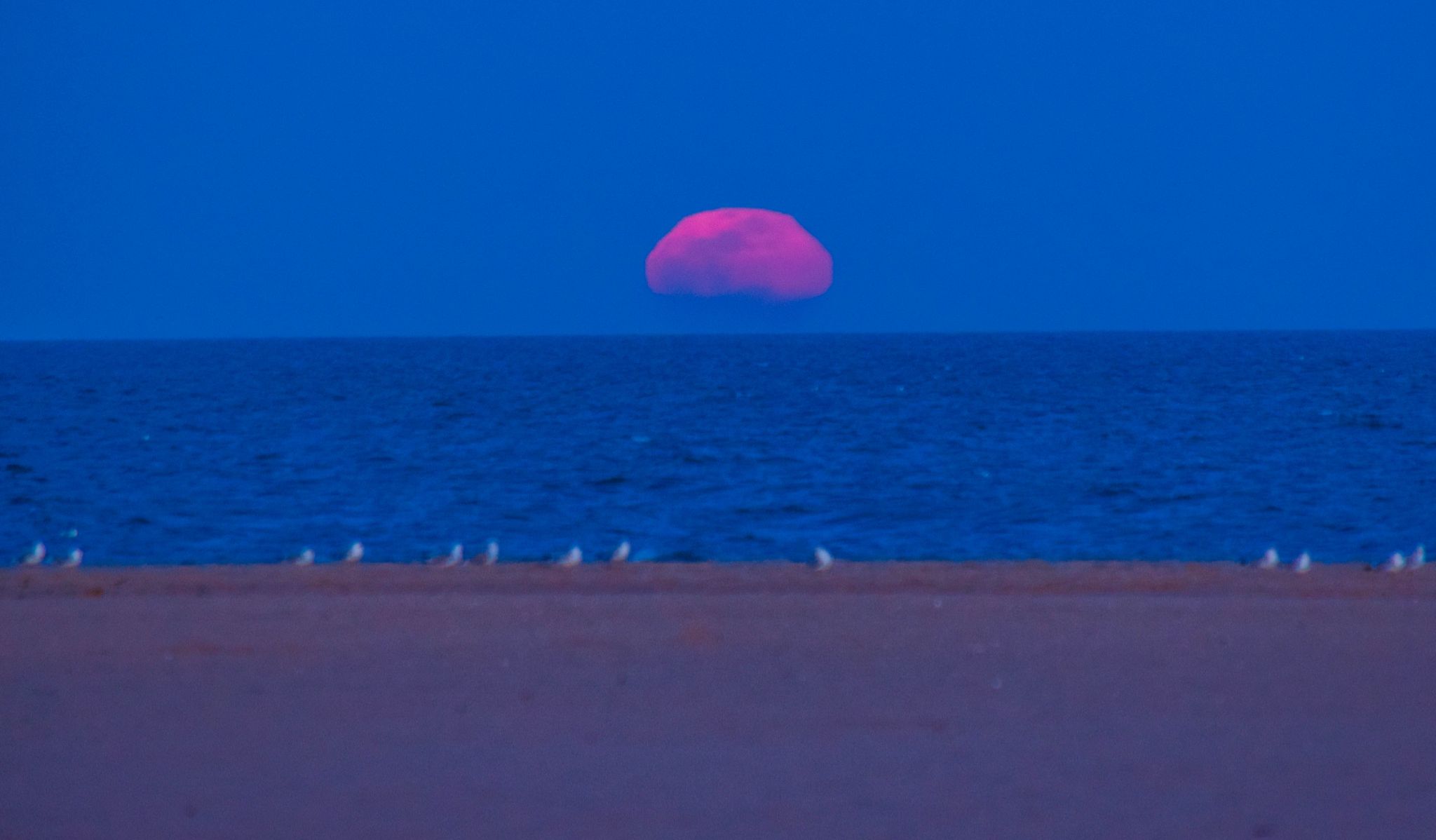 Community photo by Andy Davis | Ocean City,Maryland