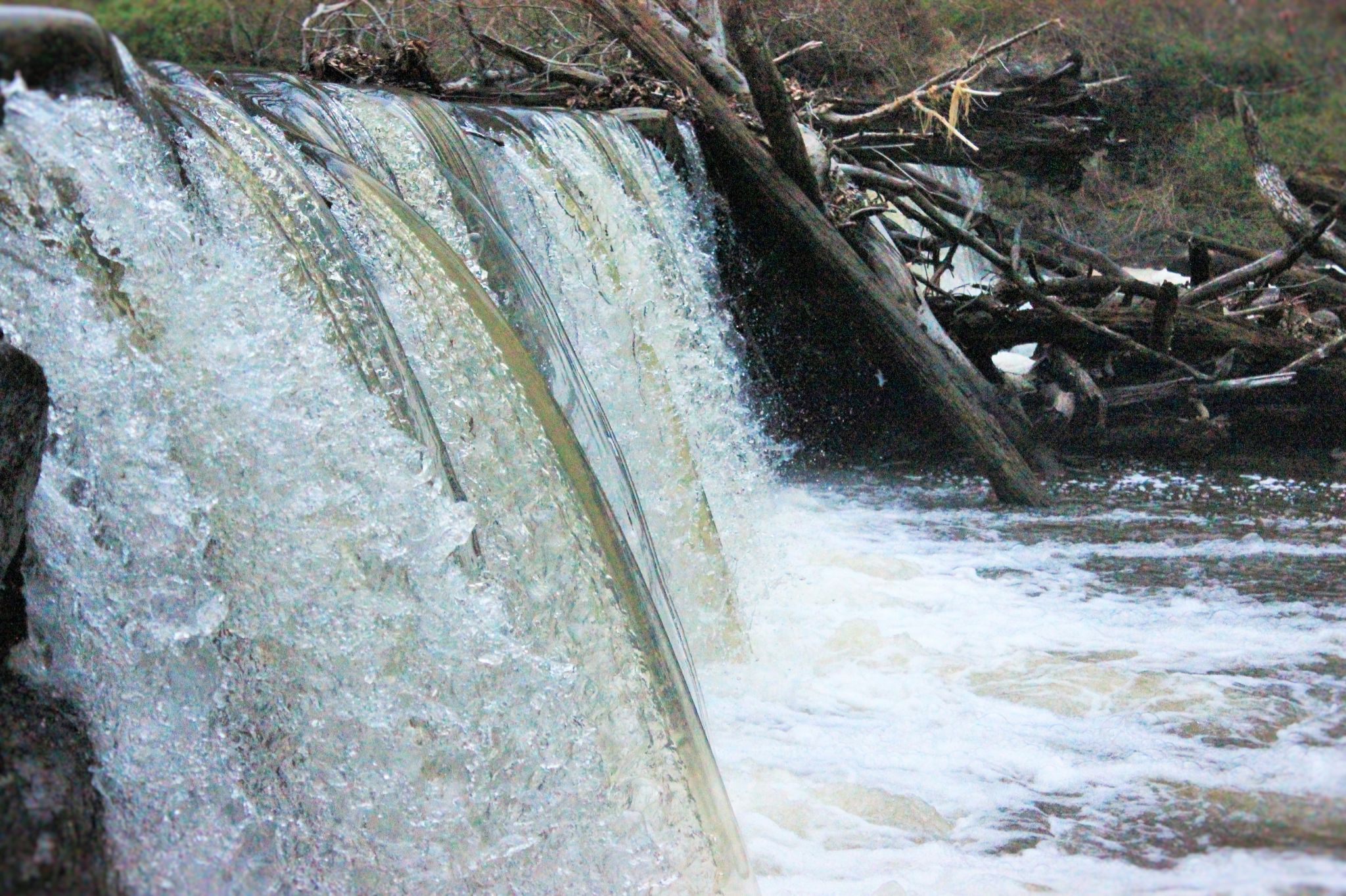 Community photo entitled  by john washco on 03/30/2020 at ridley creek state park media pa