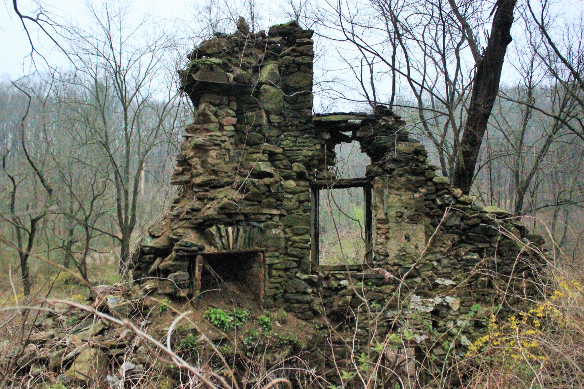 Community photo entitled  by john washco on 03/30/2020 at ridley creek state park media pa