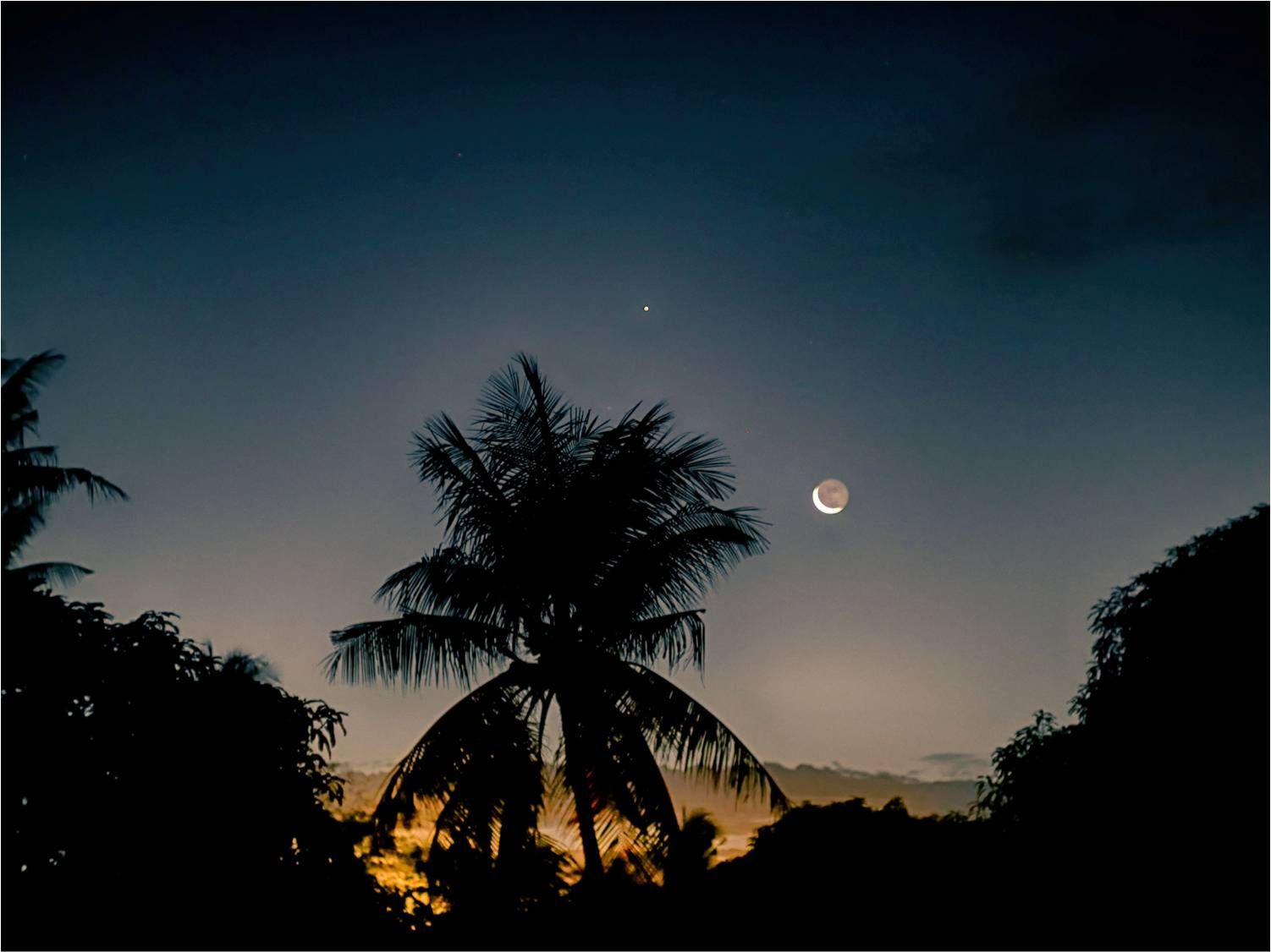 Community photo by Dr Ski | Valencia Coconut Planetation, Philippines