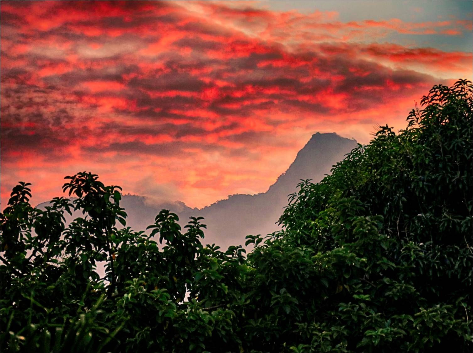 Community photo by Dr Ski | Valencia Observatory Garden, Philippines