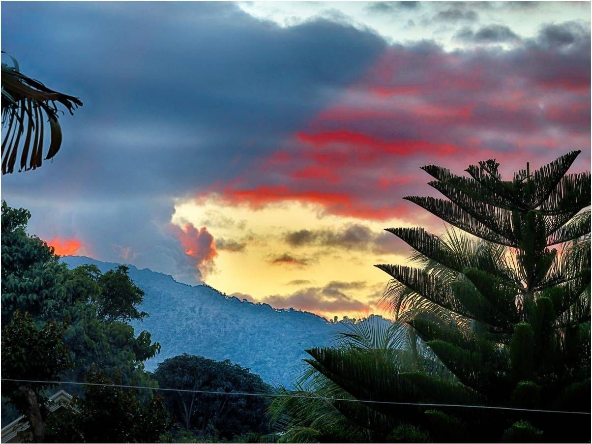 Community photo entitled  by Dr Ski on 03/04/2020 at Valencia Observatory Garden, Philippines