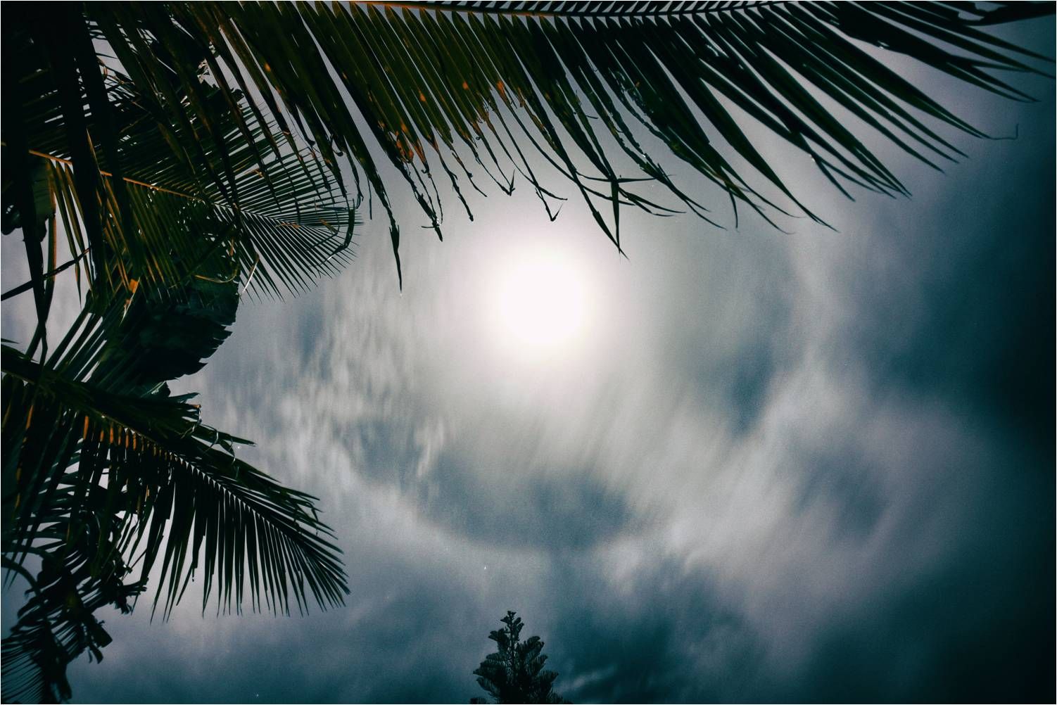 Community photo by Dr Ski | Valencia Observatory Garden, Philippines