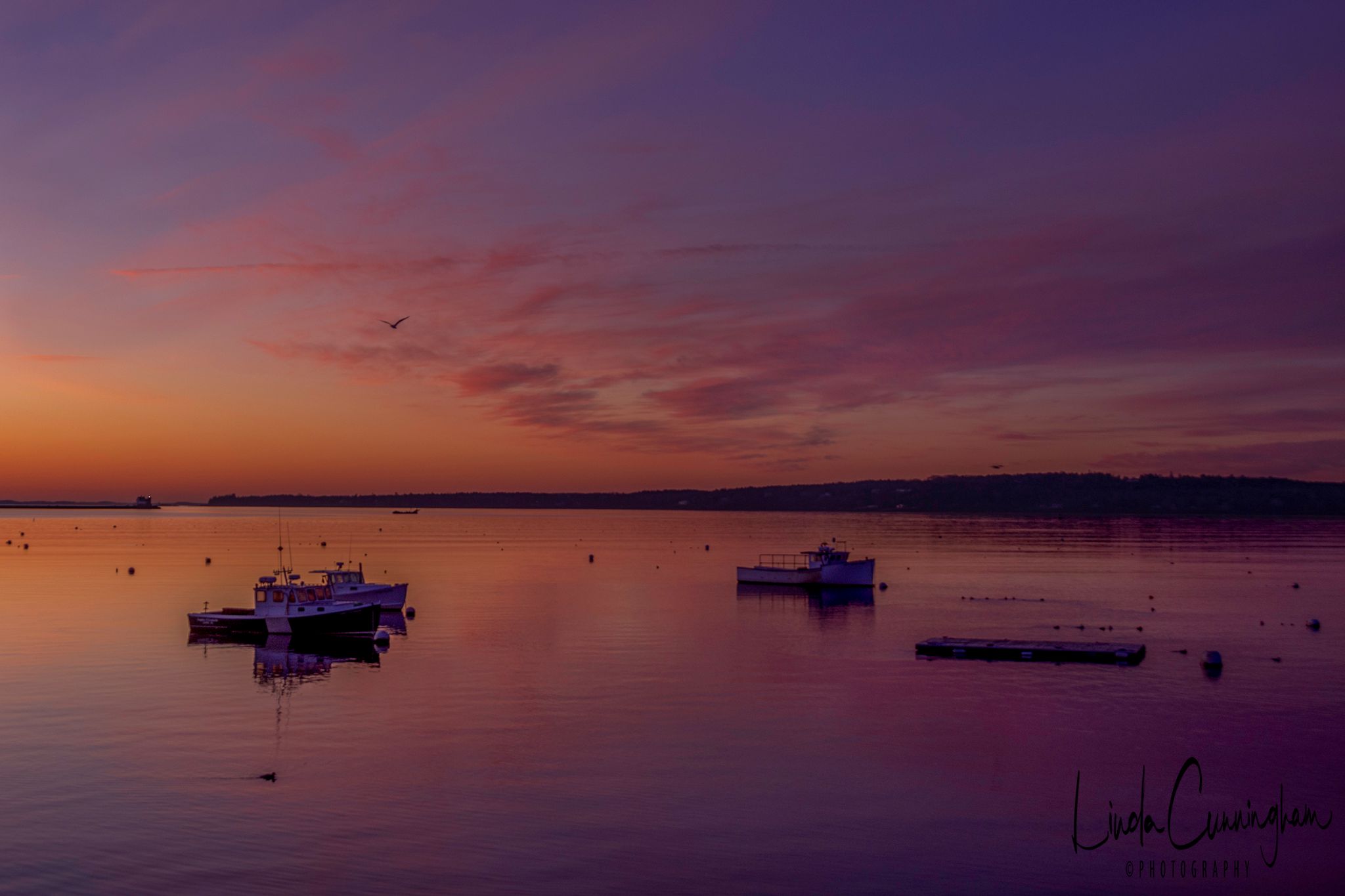 Community photo by Linda Cunningham | Rockland, Maine USA