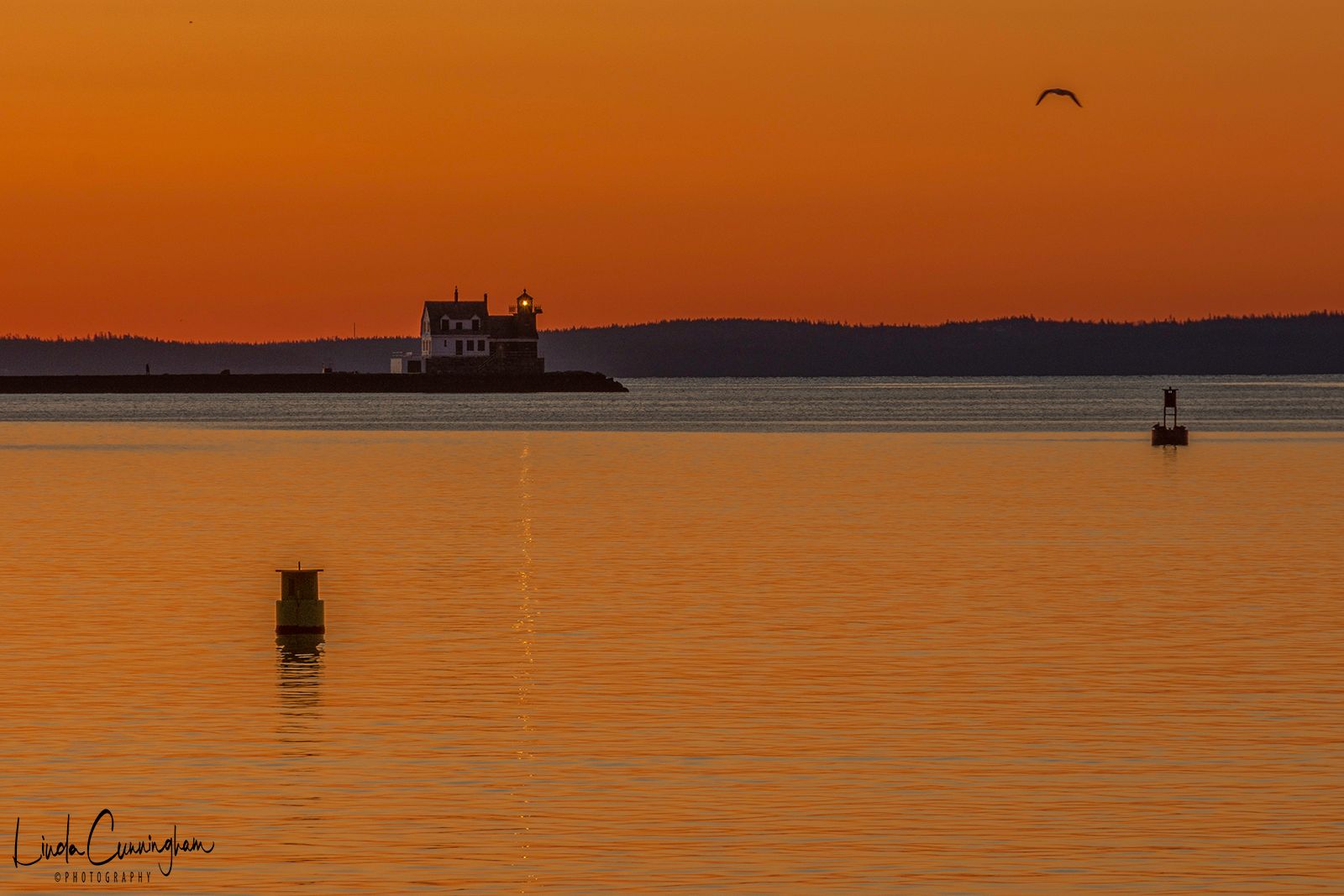 Community photo entitled  by Linda Cunningham on 03/28/2020 at Rockland, Maine USA