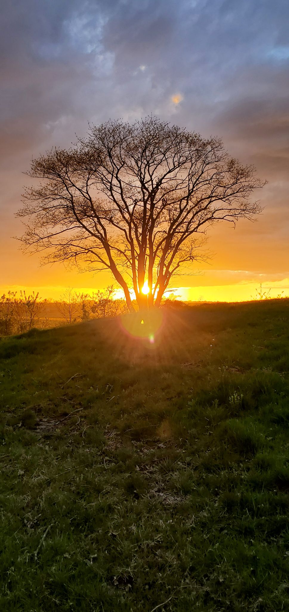 Community photo by Mary Thomas | Millville, DE, USA