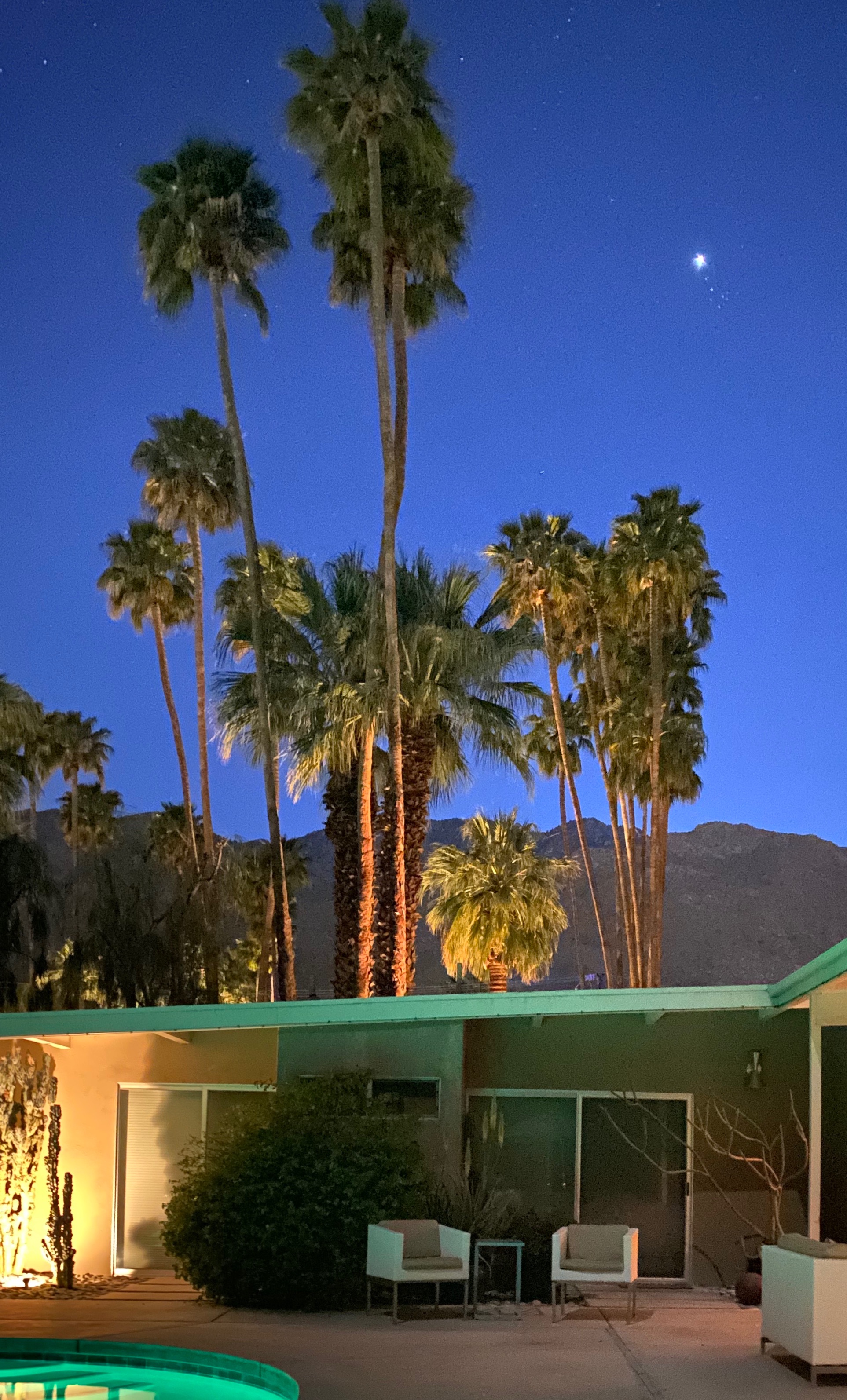 Community photo entitled  by Nicky Byrne on 04/04/2020 at Palm Springs, CA