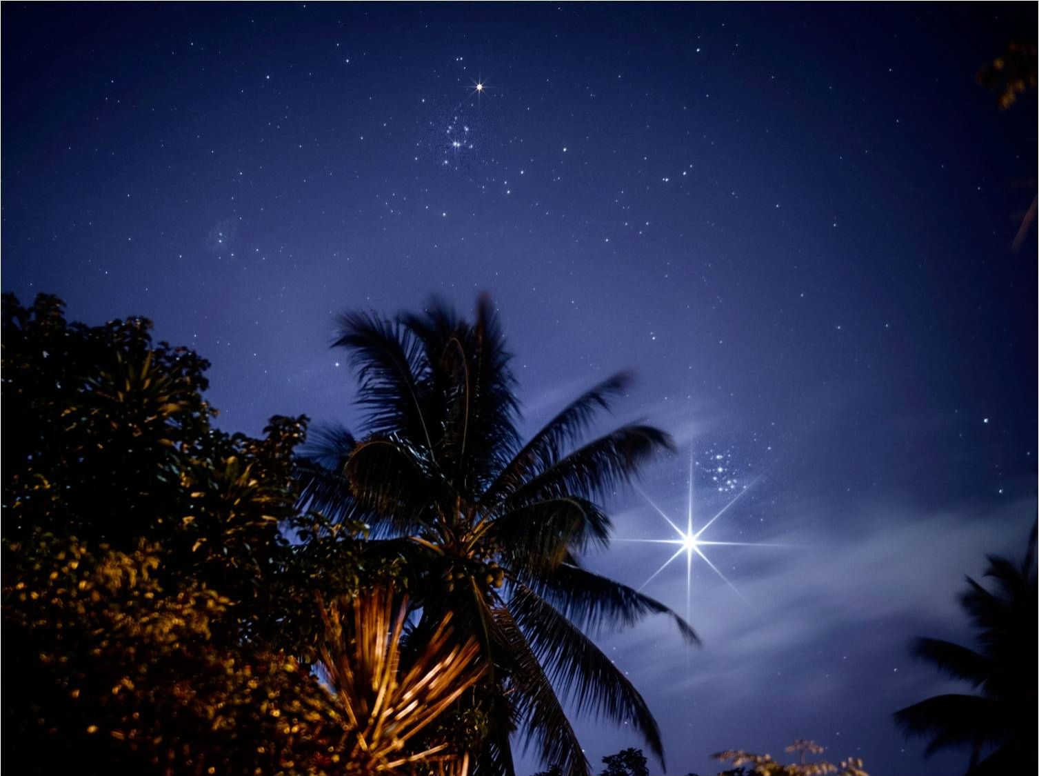 Community photo by Dr Ski | Valencia Observatory Garden, Philippines