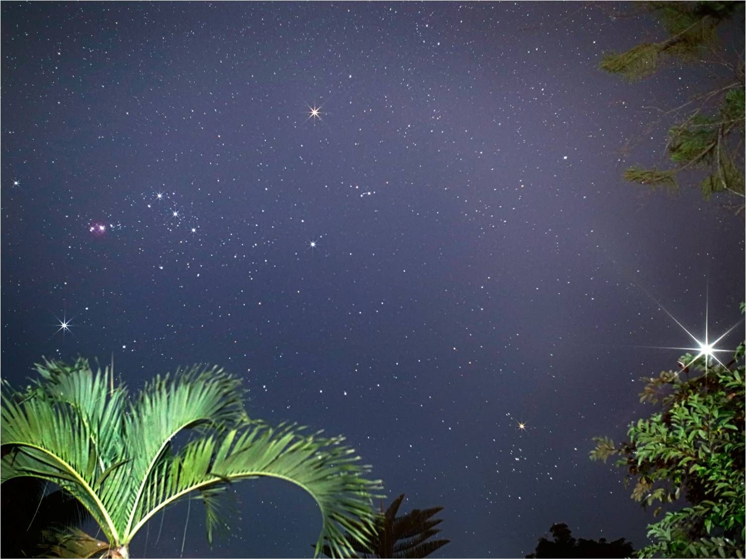 Community photo by Dr Ski | Valencia Observatory Garden, Philippines