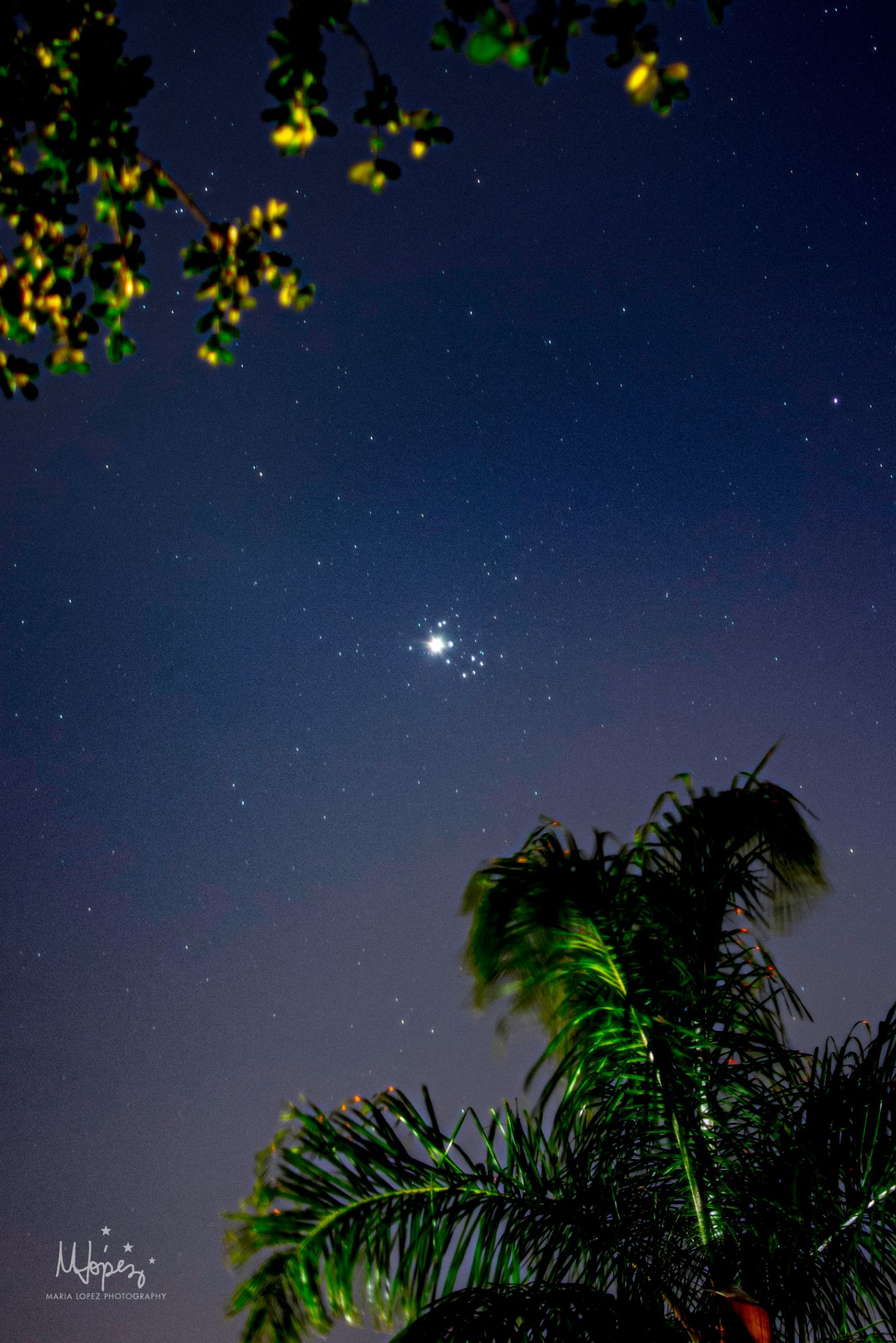 Community photo by Maria Lopez | Miramar, Florida USA