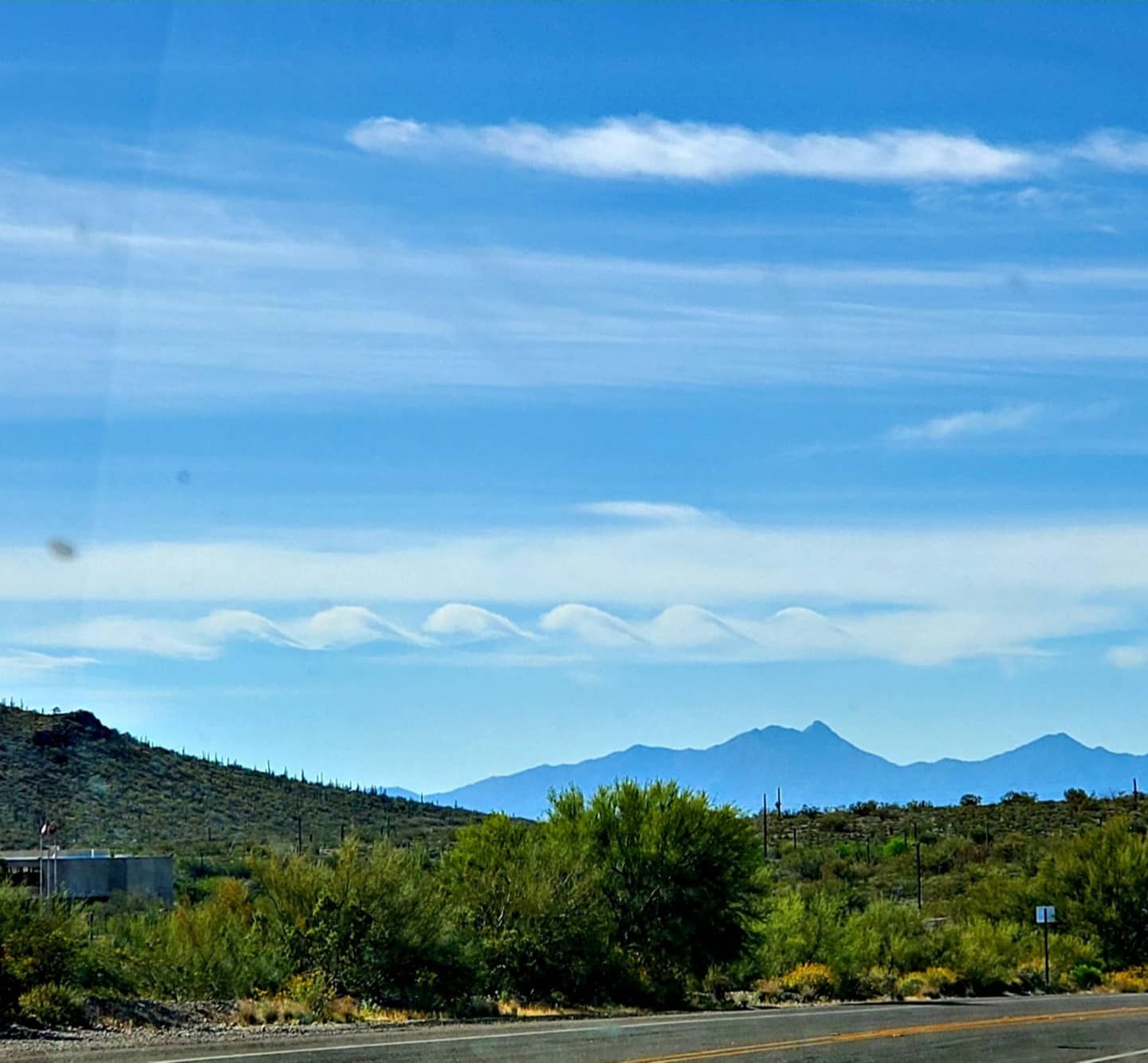 Community photo entitled  by Maria Cooks on 04/05/2020 at Tucson, Arizona, Pima County