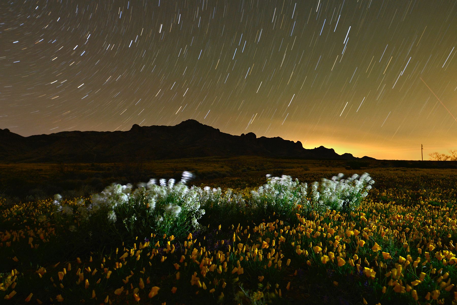 Community photo entitled  by Jim Gale on 03/21/2020 at Florida Mountains, south of Deming New mexico