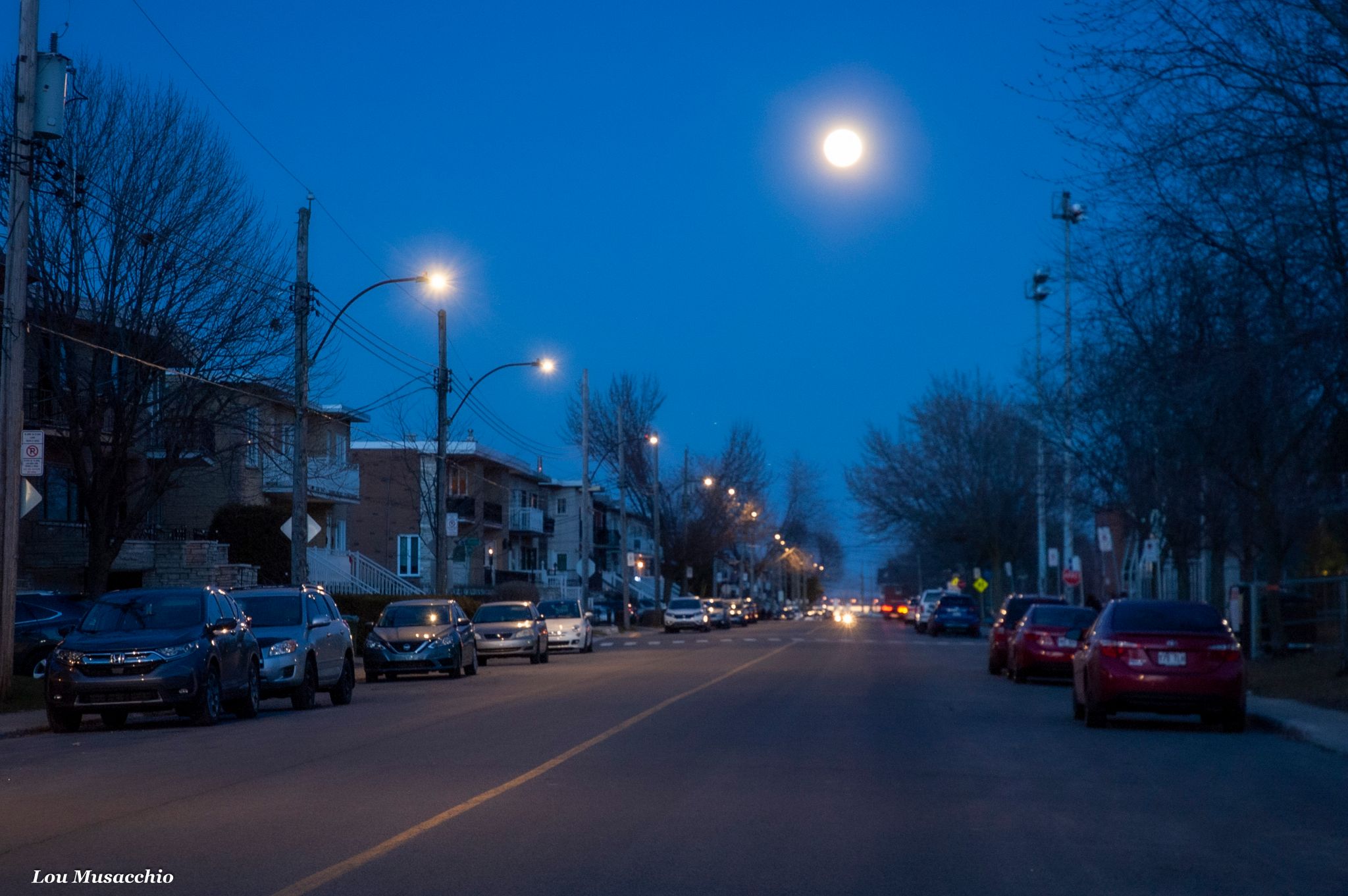 Community photo by Lou Musacchio | Montreal, Quebec, Canada