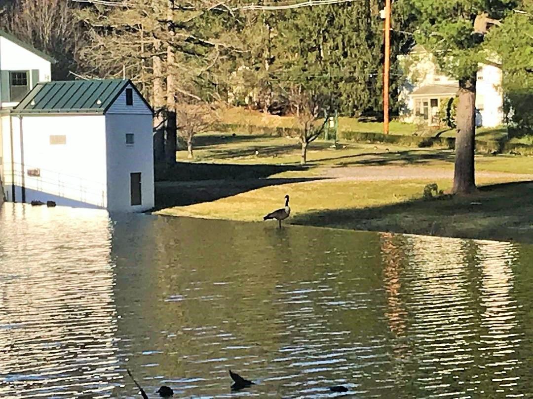 Community photo entitled  by john washco on 04/08/2020 at crum creek media pa