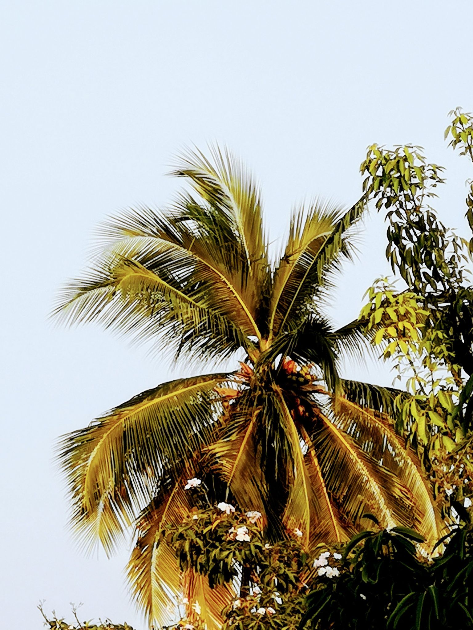 Community photo by Kandaswamy Natarajan | Chennai  TamilNadu India