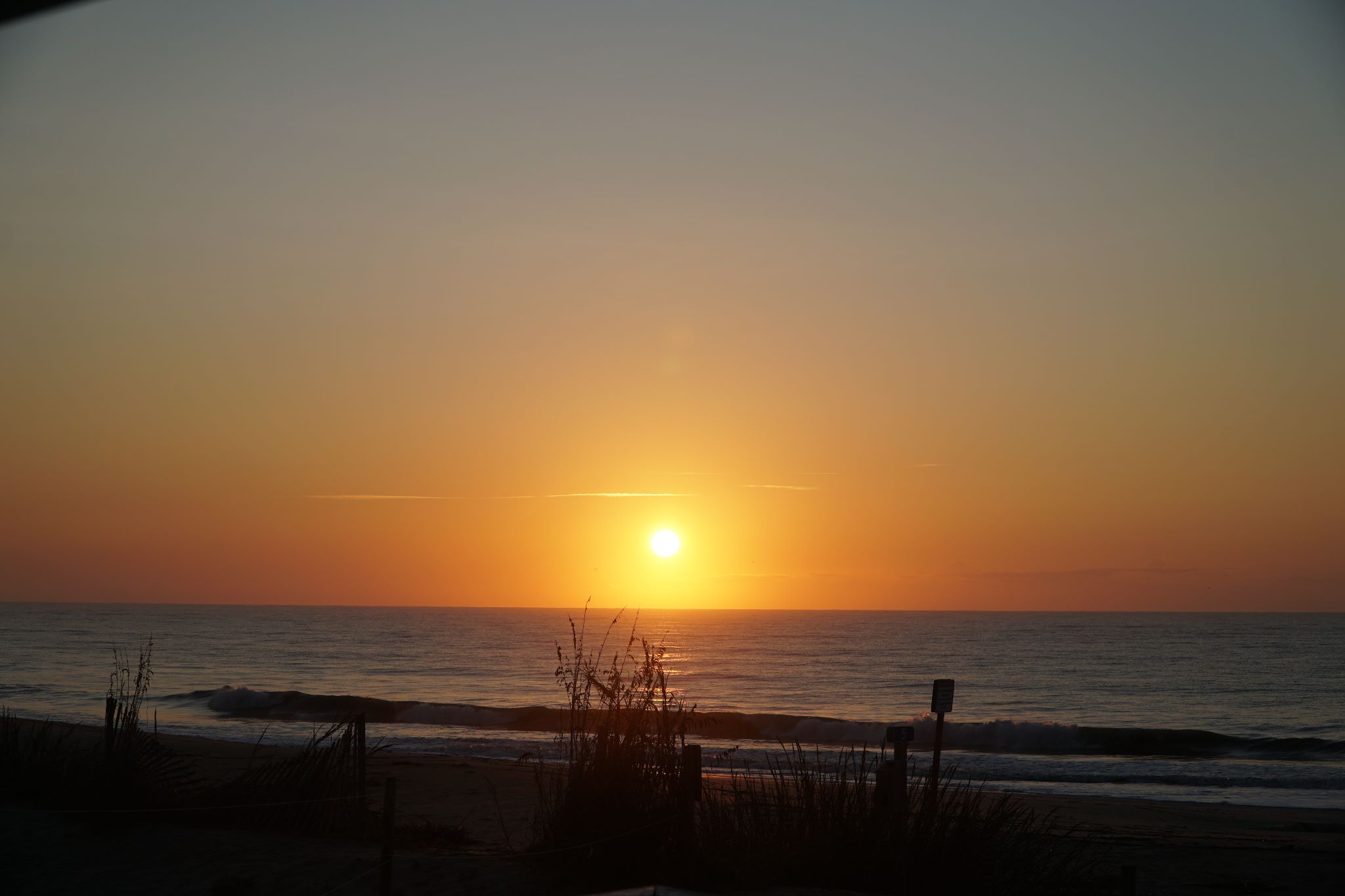 Community photo by Rita D. Brown | Edisto Island, SC, USA