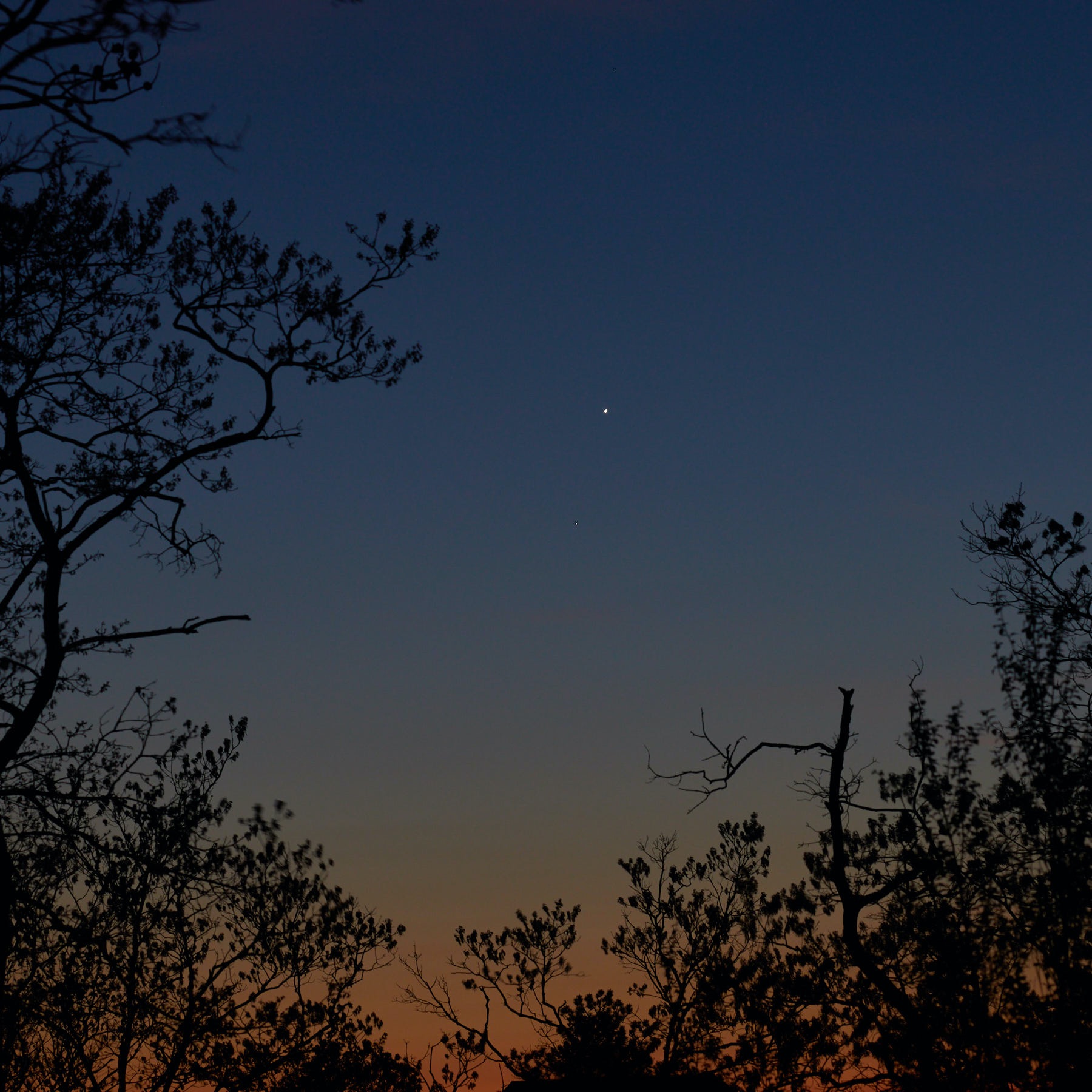 Community photo by Ray Mandra | The Pine Hills, Plymouth, MA, USA