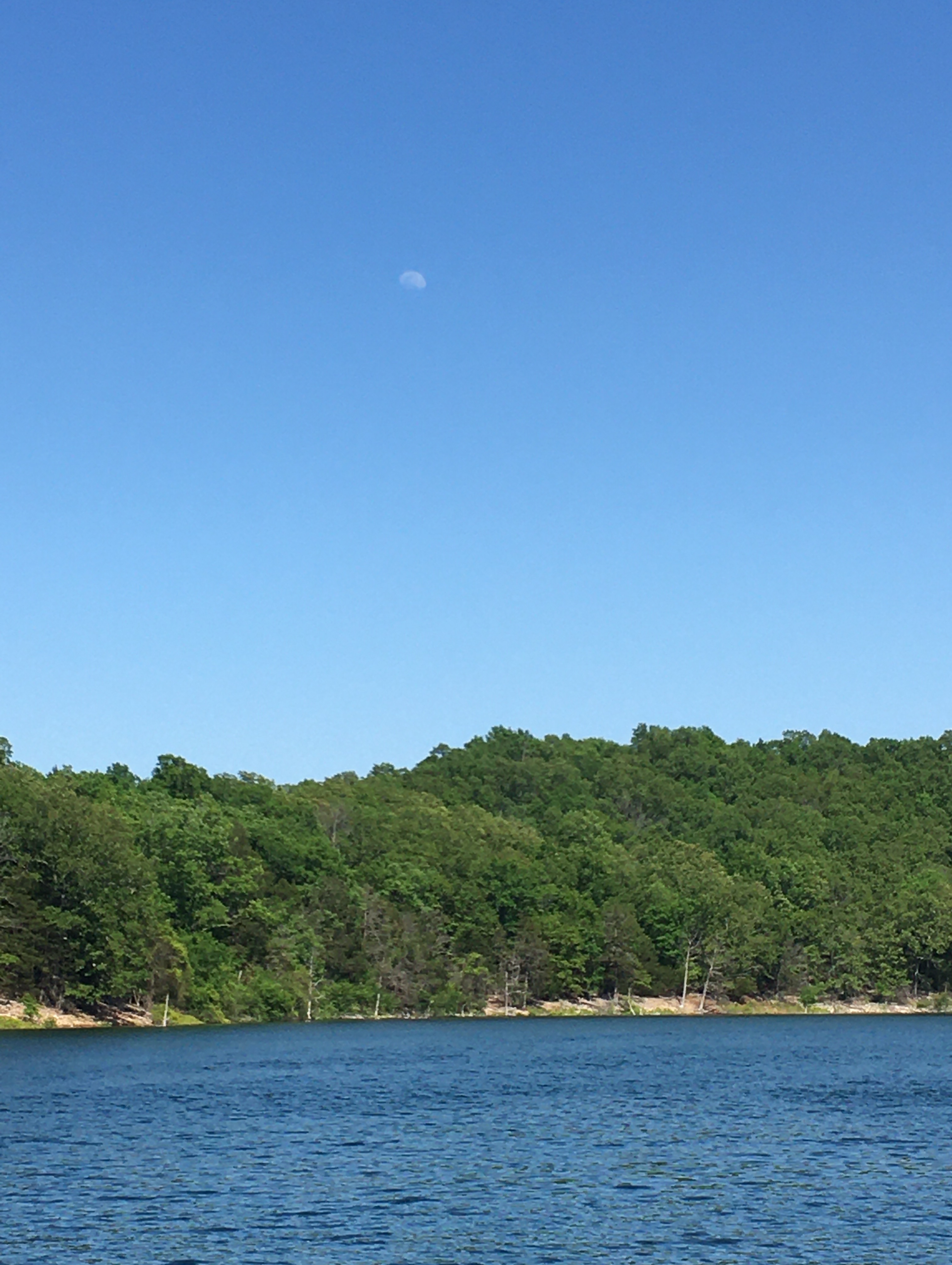 Community photo entitled  by Jack Jasper on 05/02/2020 at Bull Shoals lake  Bull Shoals Arkansas