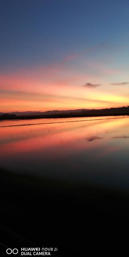 Community photo by shafit ishak | Pendang,Kedah