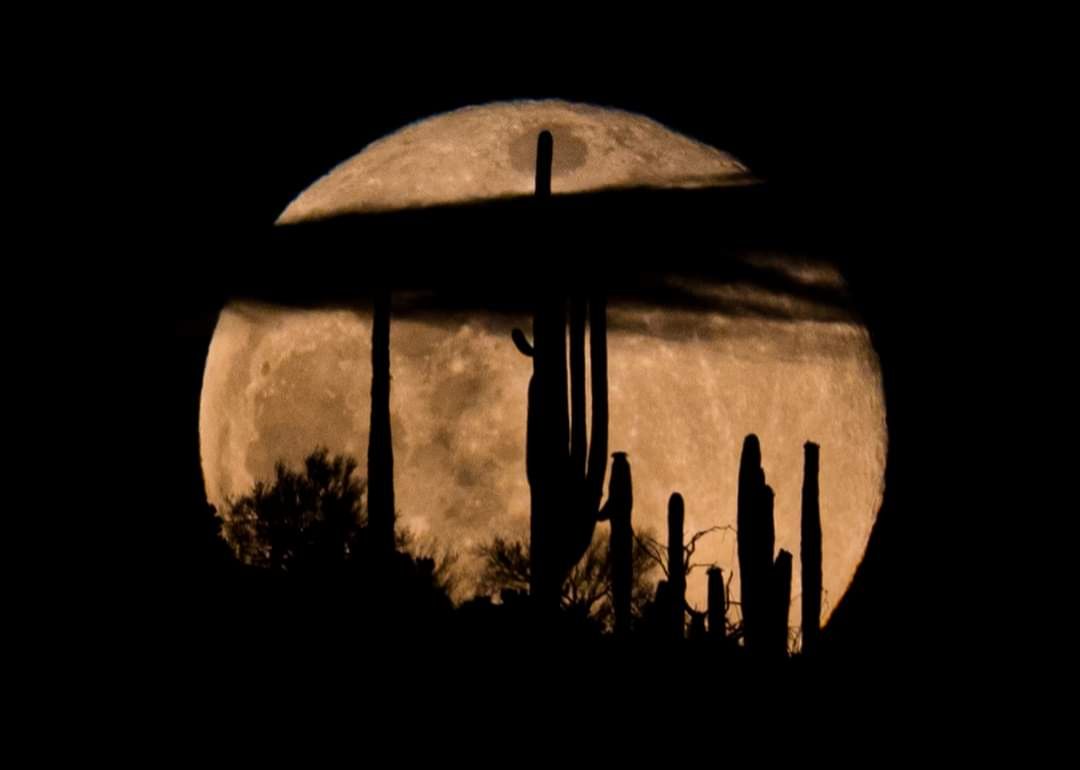 Community photo entitled  by Niccole Neely on 05/07/2020 at Gates Pass, Saguaro National Park in Arizona