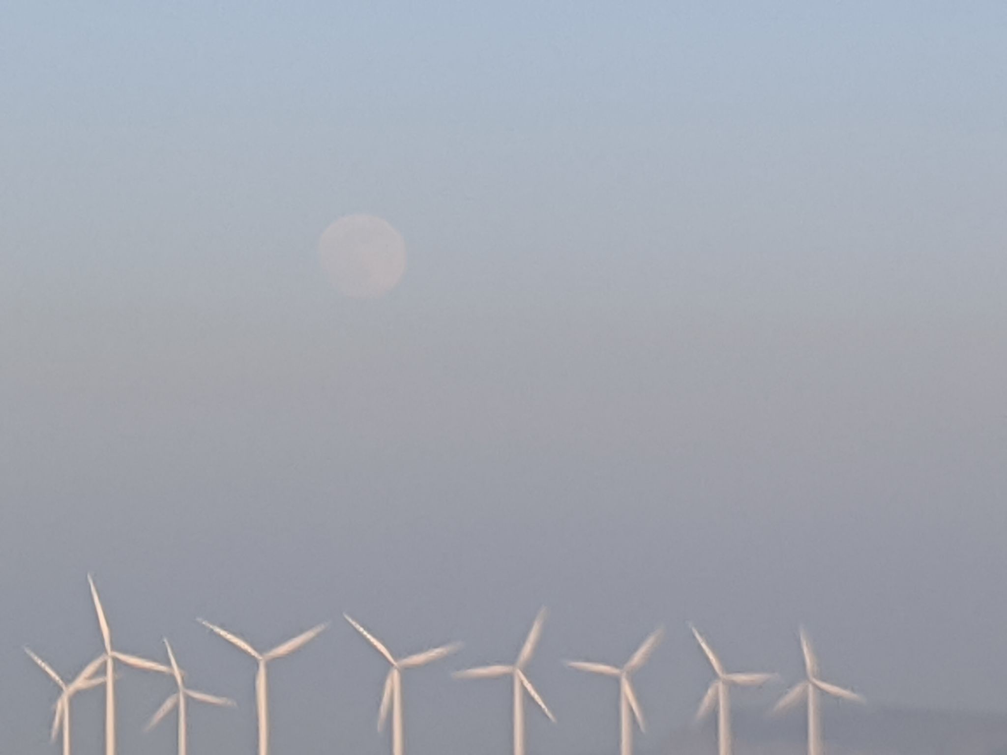 Community photo entitled  by kevan hubbard on 05/06/2020 at Seaton Carew,Co Durham, England