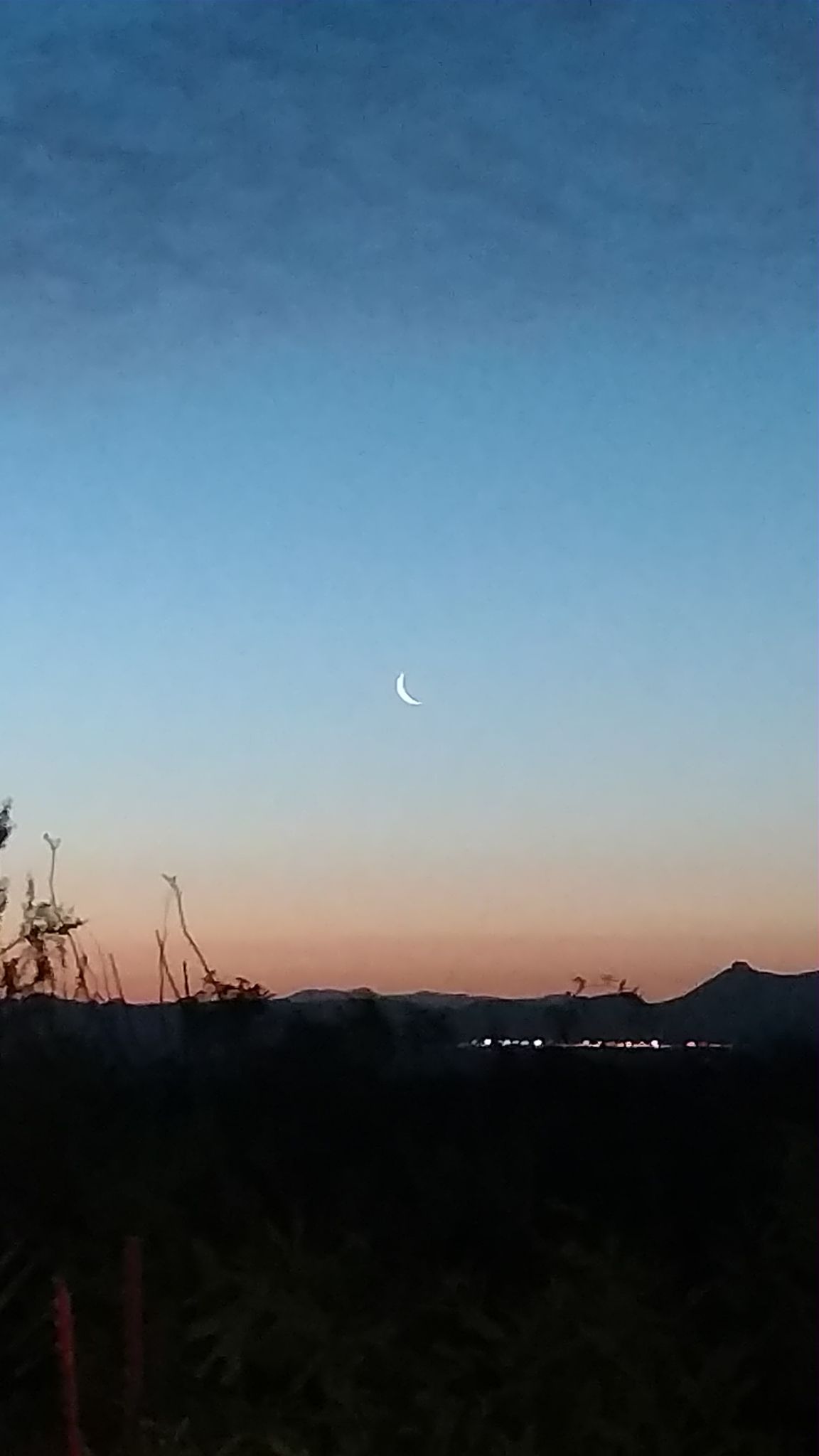 Community photo entitled  by Ken Lamberton on 05/20/2020 at Bisbee, AZ, USA