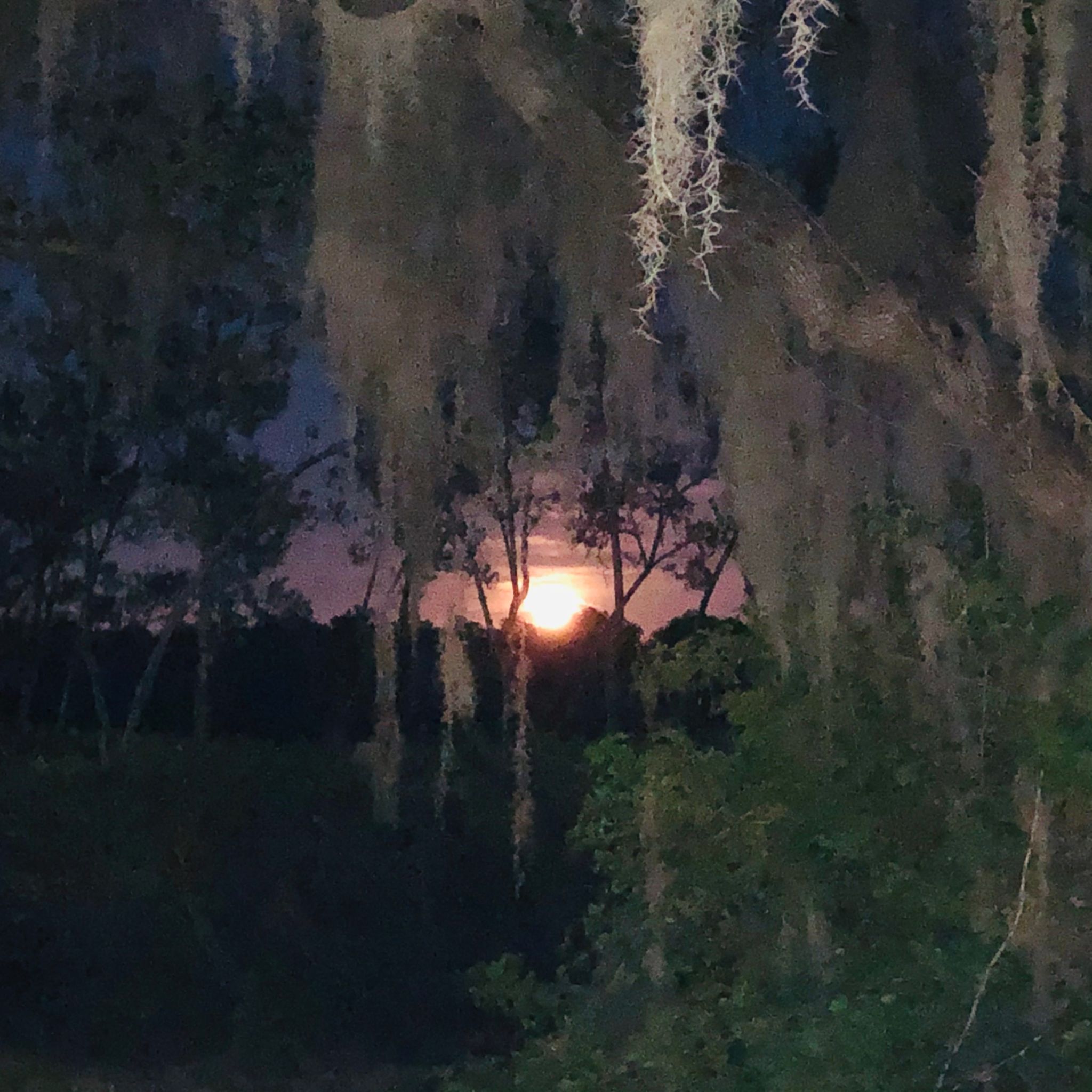 Community photo by Beth Davis | Bayshore drive in Clearwater, florida