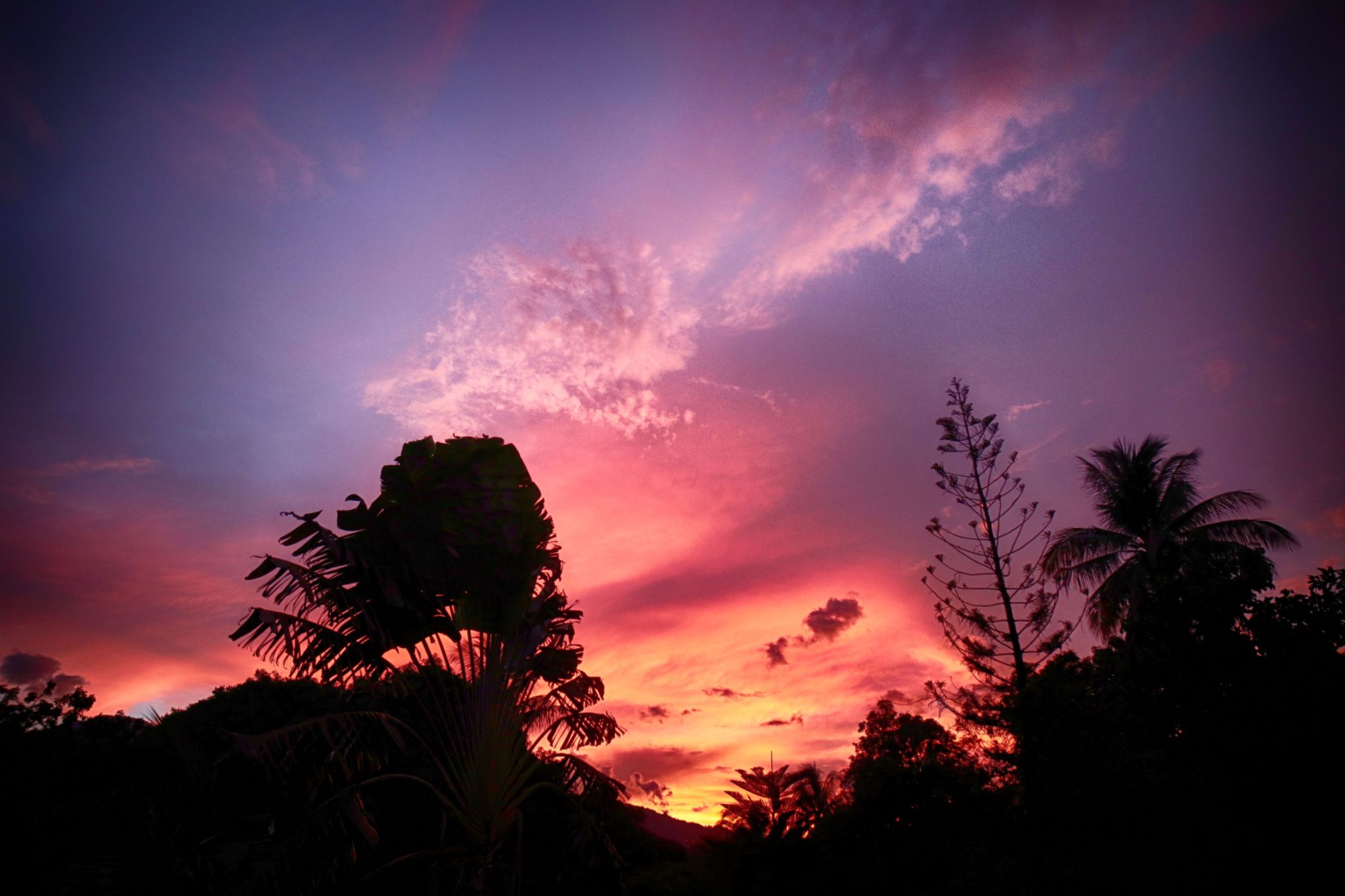 Community photo entitled  by Dr Ski on 05/14/2020 at Valencia Observatory Garden, Philippines