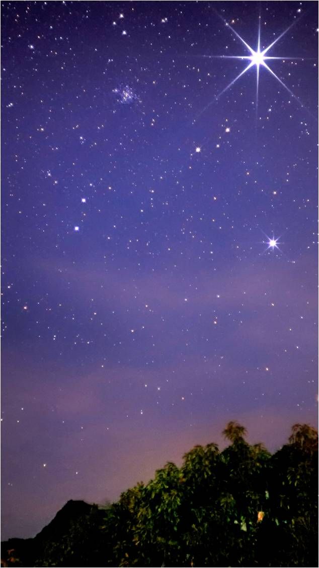 Community photo by Dr Ski | Valencia Observatory Garden, Philippines