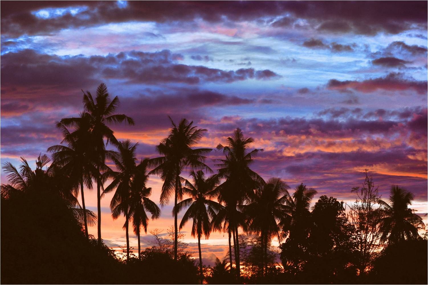 Community photo by Dr Ski | Valencia Coconut Planetation, Philippines