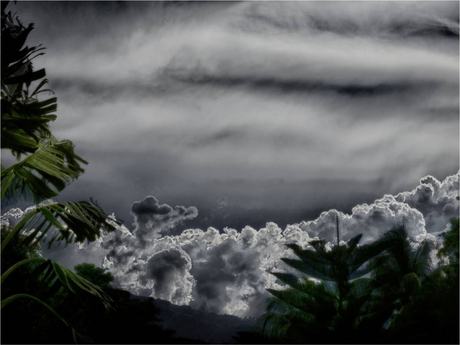 Community photo by Dr Ski | Valencia Observatory Garden, Philippines